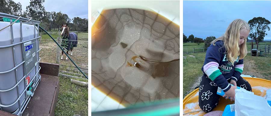 Making and Using Worm Tea