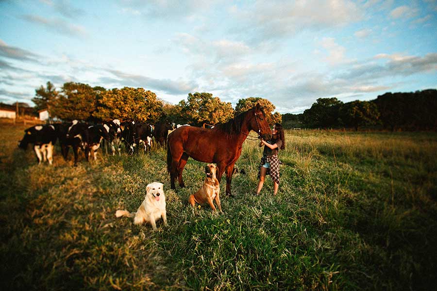 Is Flaxseed Oil safe for pets?