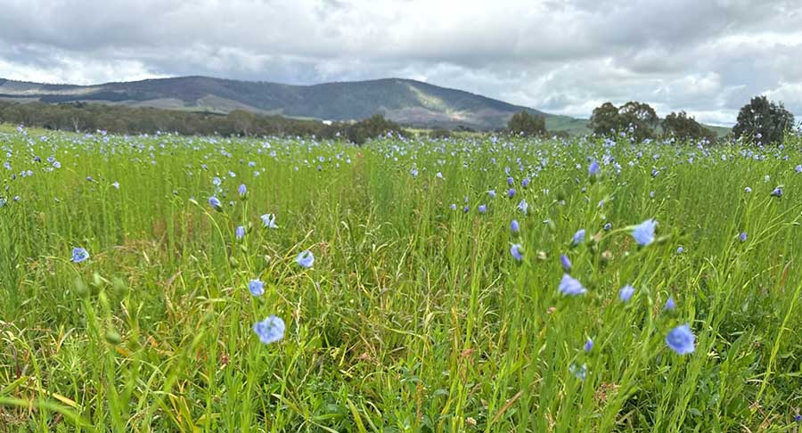 Organic and Regenerative Farming Explained